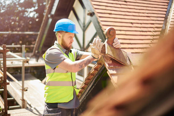 Best Flat Roof Repair Services  in La Junta, CO